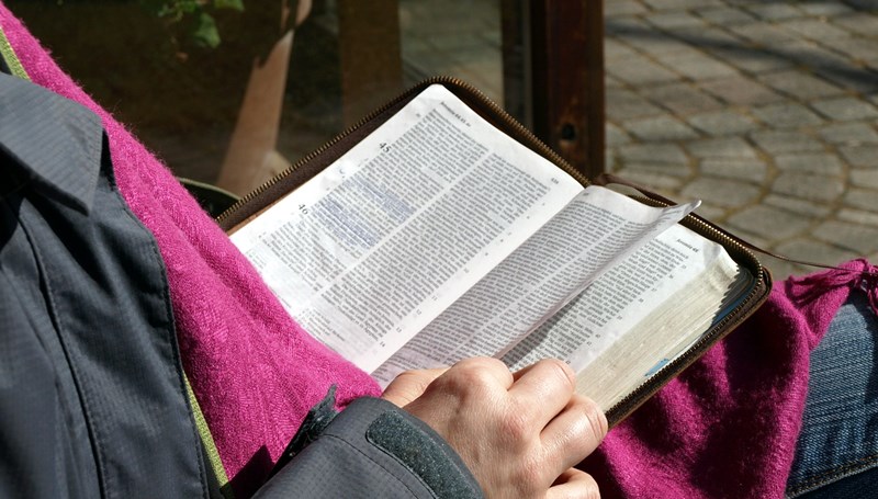 como ler e entender mais facilmente a bíblia sagrada online